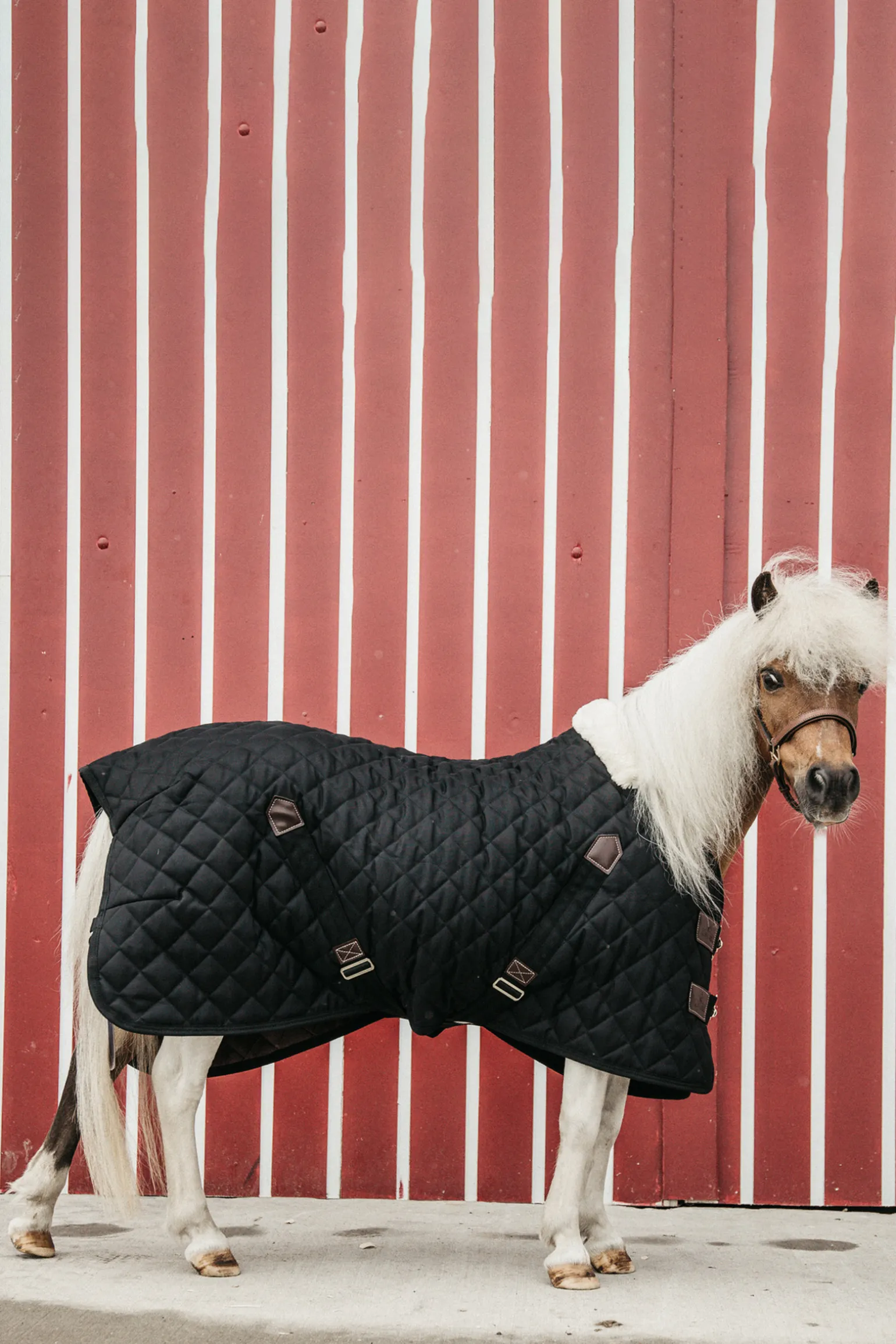 Kentucky Horsewear Talliloimi, 400 G