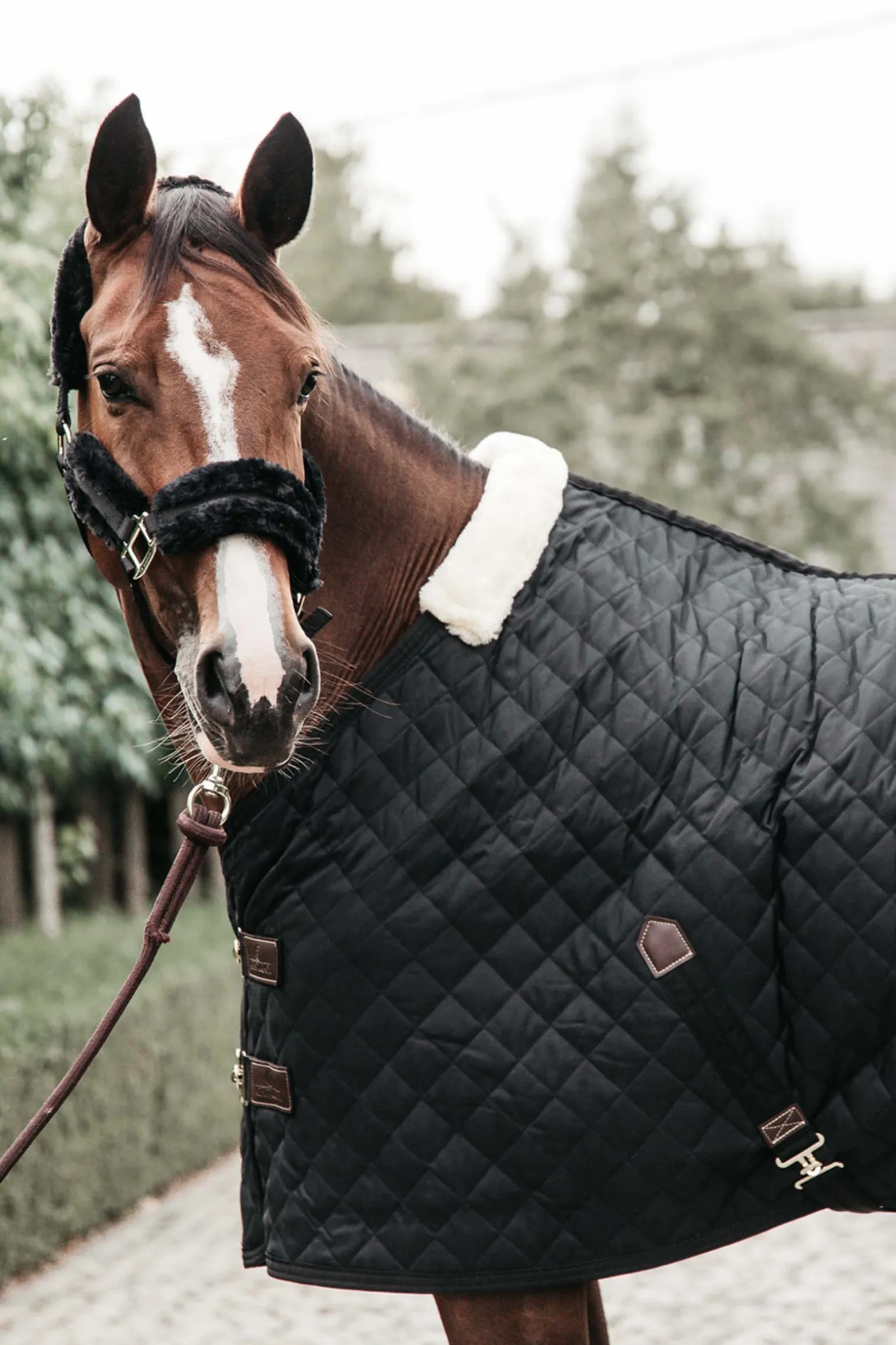 Kentucky Horsewear Talliloimi, 400 G