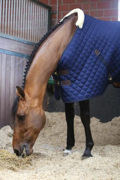 Kentucky Horsewear Talliloimi 400 G