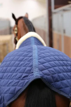Kentucky Horsewear Talliloimi 400 G