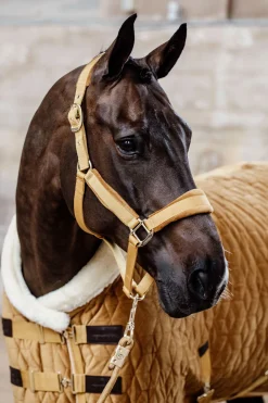 Kentucky Horsewear Velvet Riimu