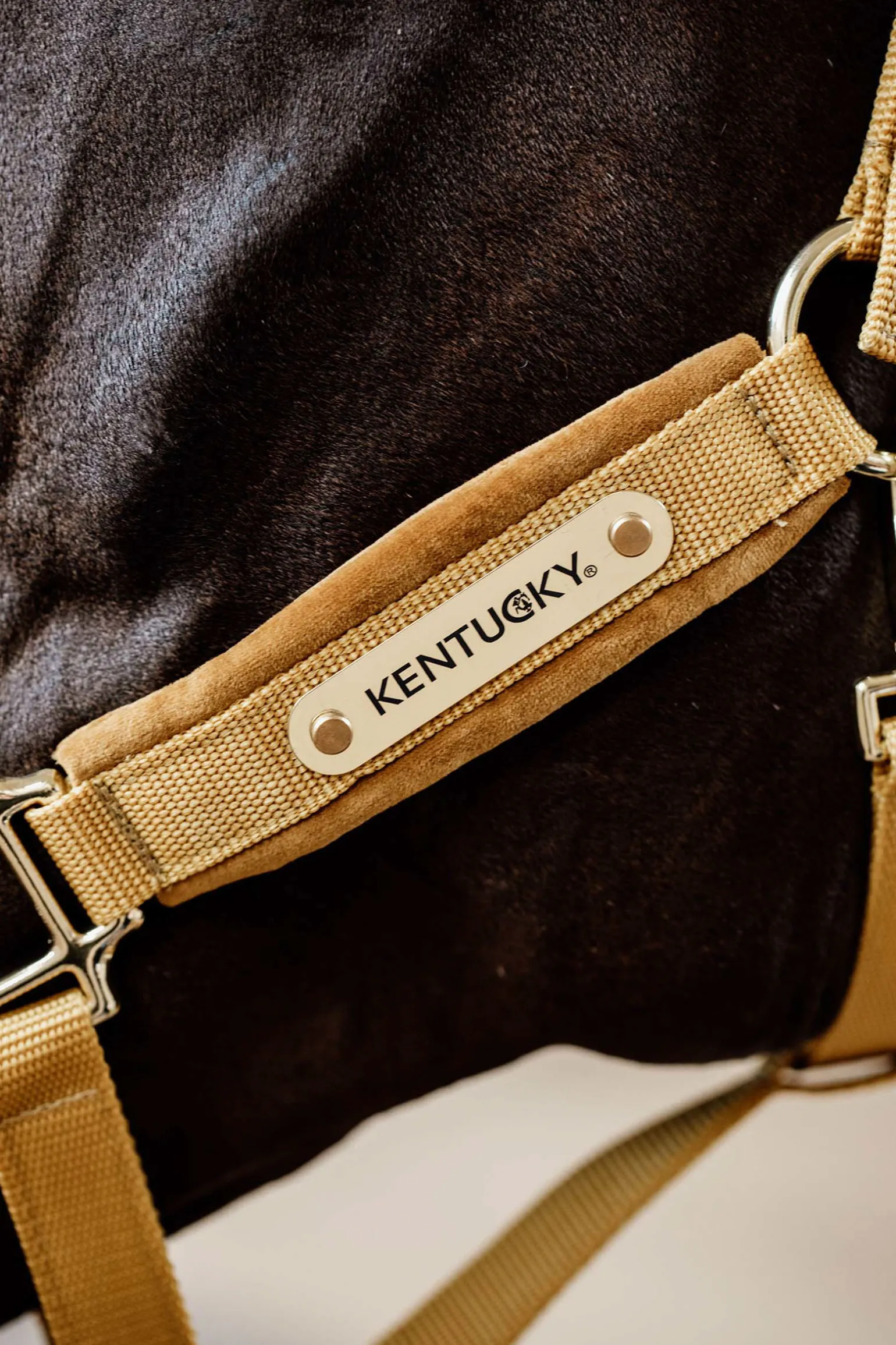 Kentucky Horsewear Velvet Riimu