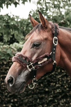 Kentucky Horsewear-Nailonriimu Lampaankarvalla