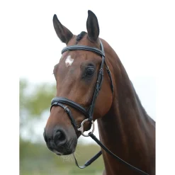 Kincade Flash Bridle I -Nivelsuitset