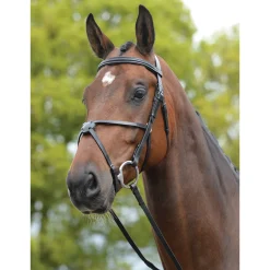 Kincade Grackle Bridle Ii -Suitset