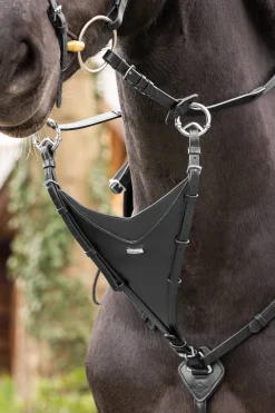 Lemieux Bib-Martingaali