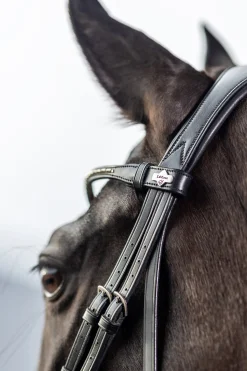 Lemieux Classic Dressage Bridle