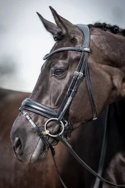 Lemieux Classic Dressage Bridle