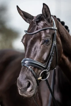 Lemieux Classic Dressage Bridle
