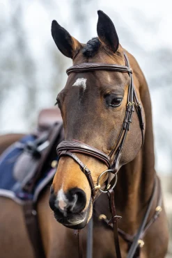Lemieux Competiton Flash Bridle