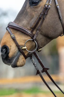 Lemieux Competiton Flash Bridle