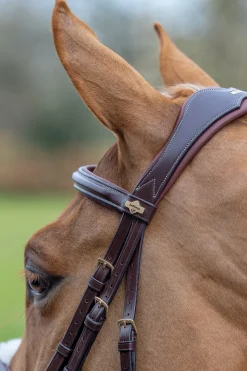 Lemieux Grackle Bridle