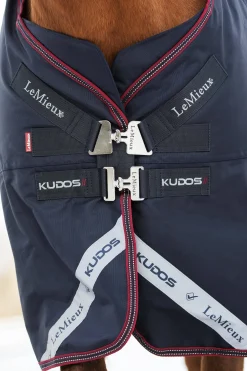 Lemieux Kudos Lightweight Turnout Rug, 100G
