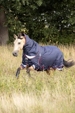 Lemieux Kudos Lightweight Turnout Rug, 50G