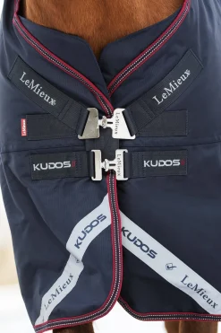 Lemieux Kudos Lightweight Turnout Rug, 50G