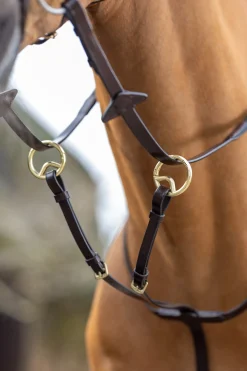 Lemieux Running Martingale