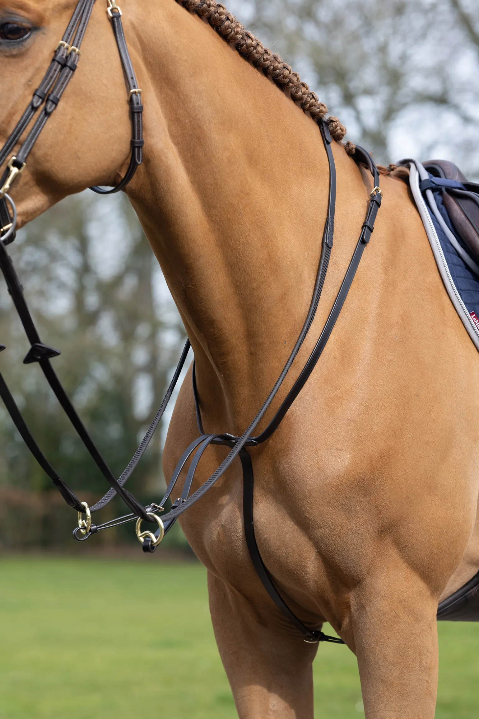 Lemieux Running Martingale