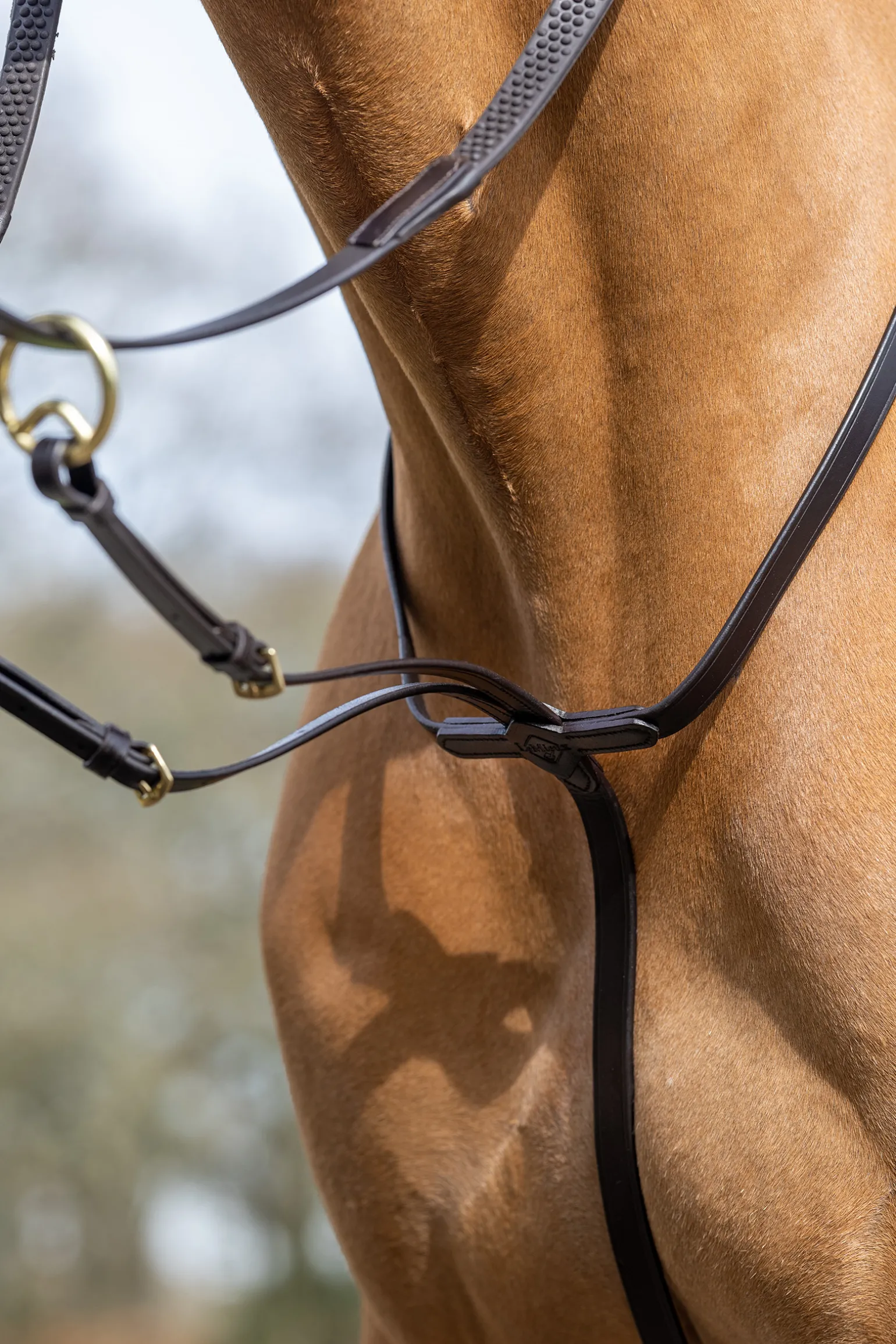 Lemieux Running Martingale