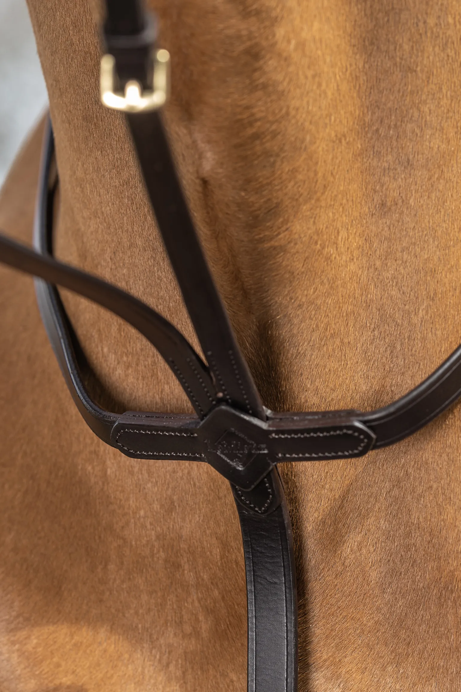 Lemieux Running Martingale