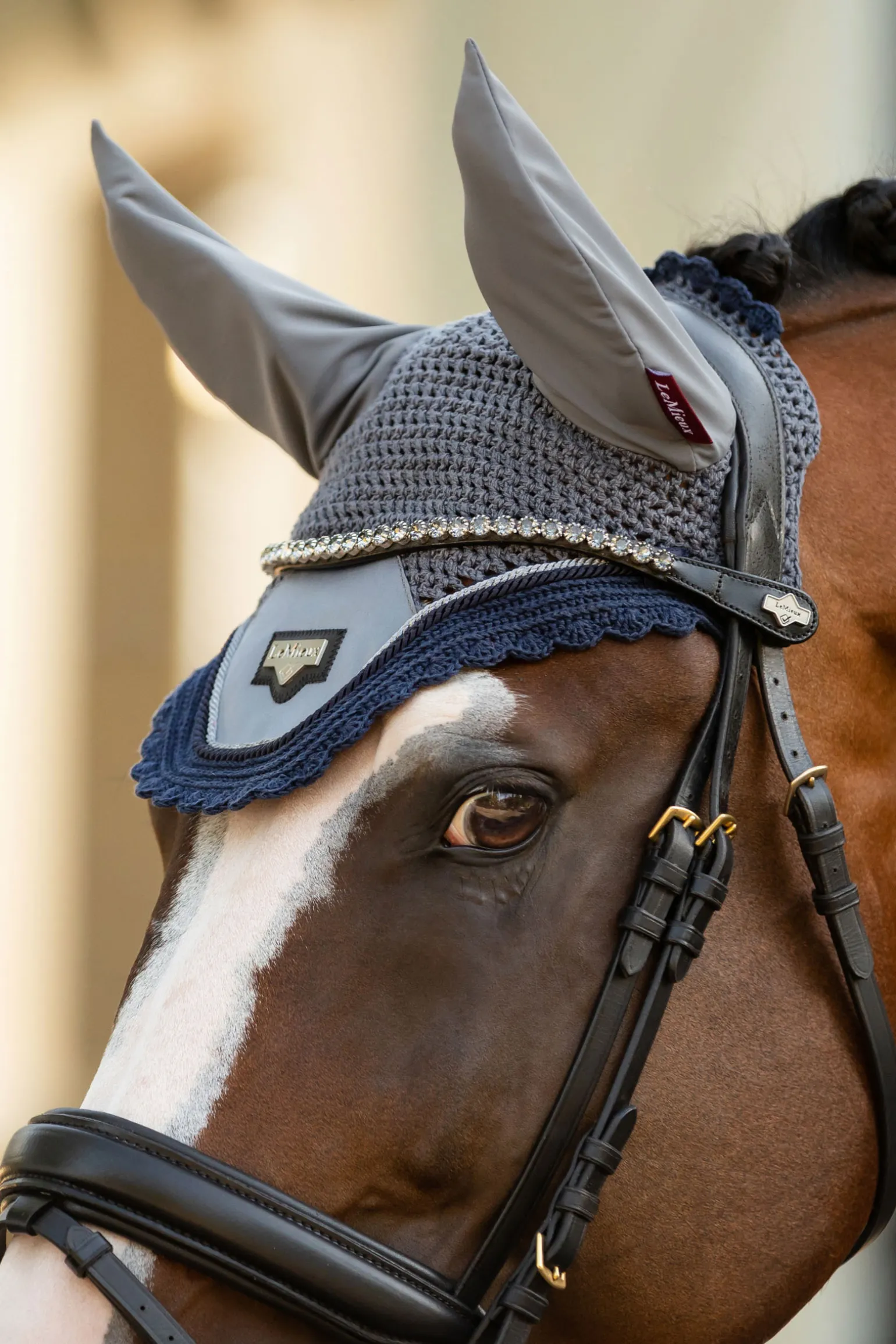 Lemieux Twilight Browband