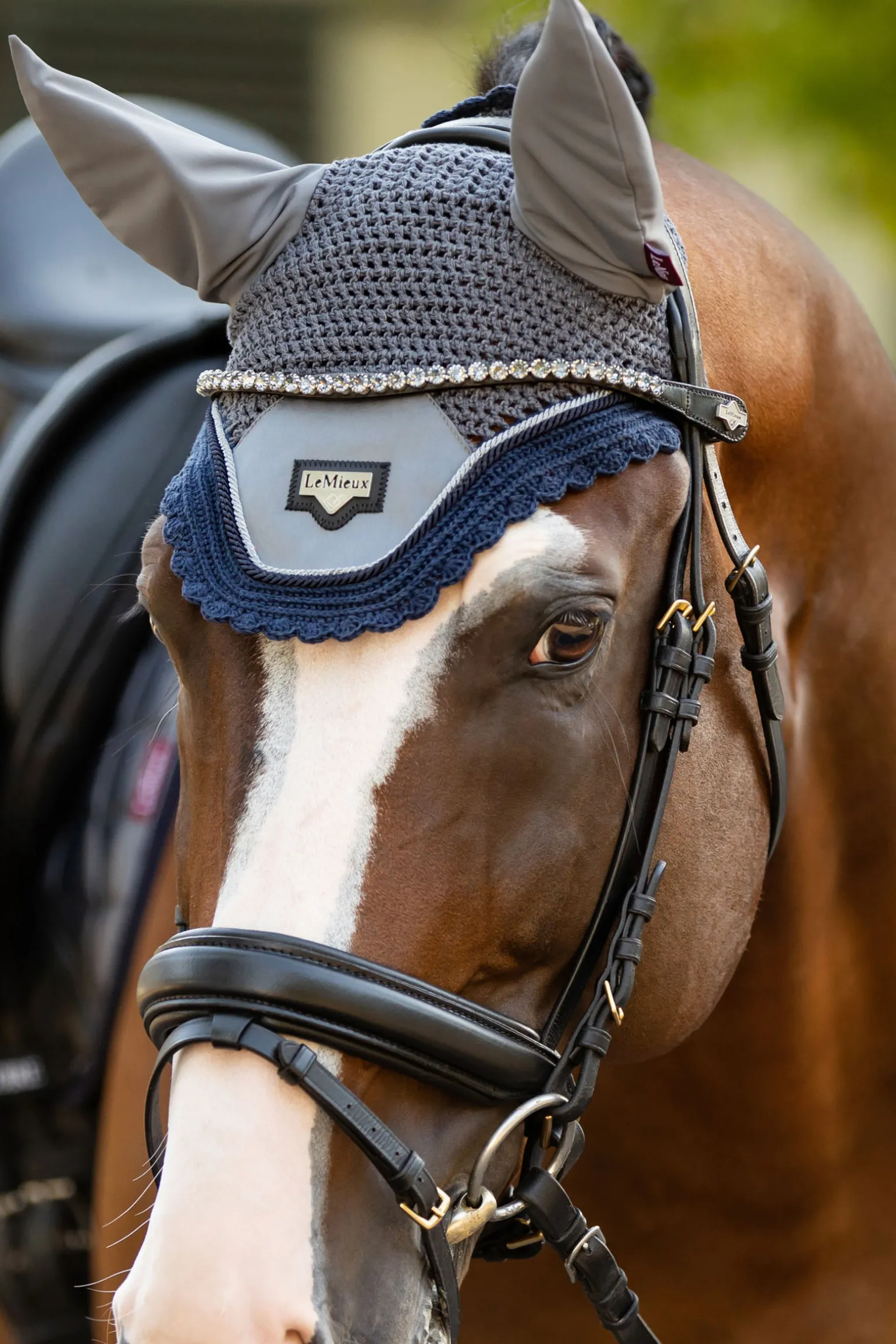 Lemieux Twilight Browband