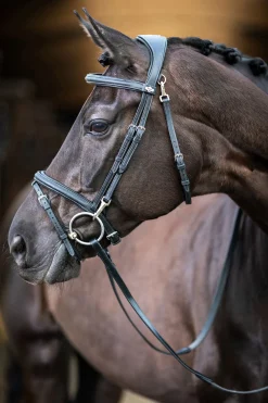 Lemieux Work Bridle