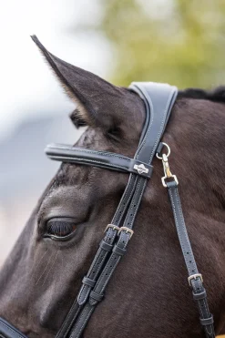 Lemieux Work Bridle