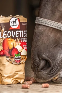 Leovet