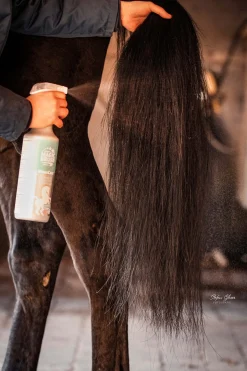 Magicbrush Manecare Kiillotussuihke, 1 Litra