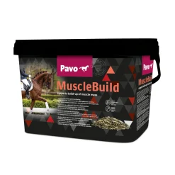 Pavo Muscle Build, 3 Kg