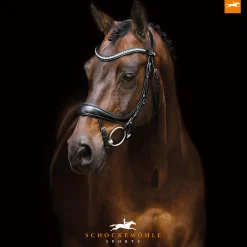 Schockemohle Equitus Beta Special -Suitset