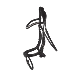 Schockemohle Equitus Omega Suitset