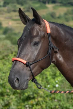 Usg Knotted Rope Halter With Matching Lead Rope