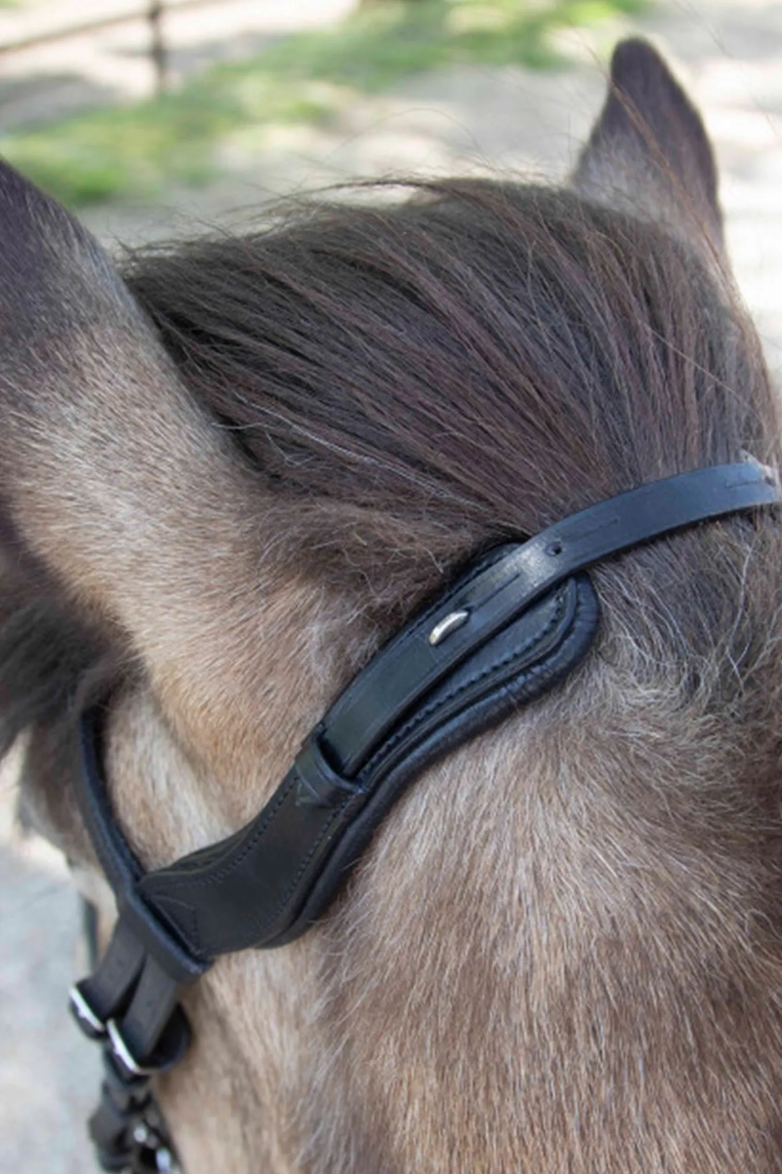 Waldhausen Anatomical Icelandic Bridle