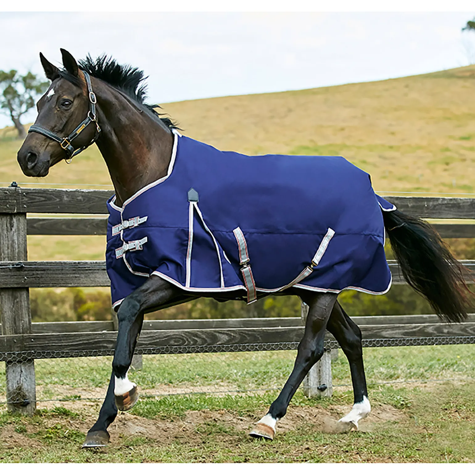 Weatherbeeta Comfitec Essential Standard Neck Lite Plus Ulkoloimi