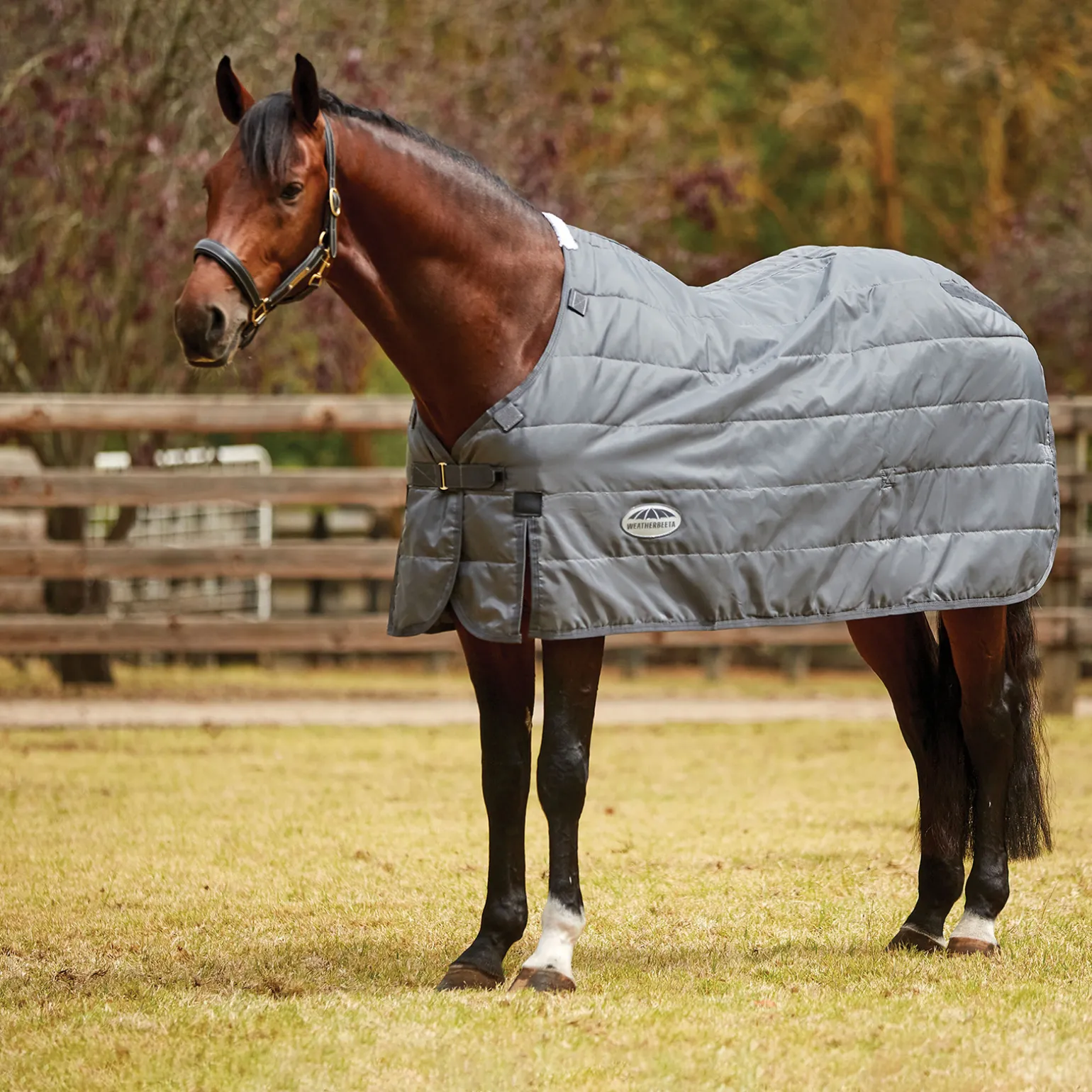Weatherbeeta Comfitec Paksu Alusloimi 210D, 330 G