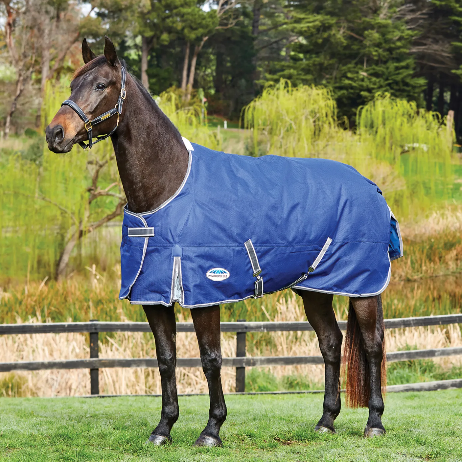 Weatherbeeta Comfitec Premier Free Standard Neck Lite 0 G -Ulkoloimi