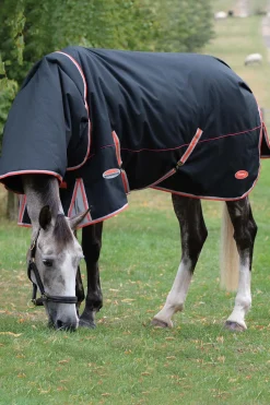 Weatherbeeta Comfitec Premier Therapy-Tec Ulkoloimi Irrotettavalla Kaulakappaleella, 50 G