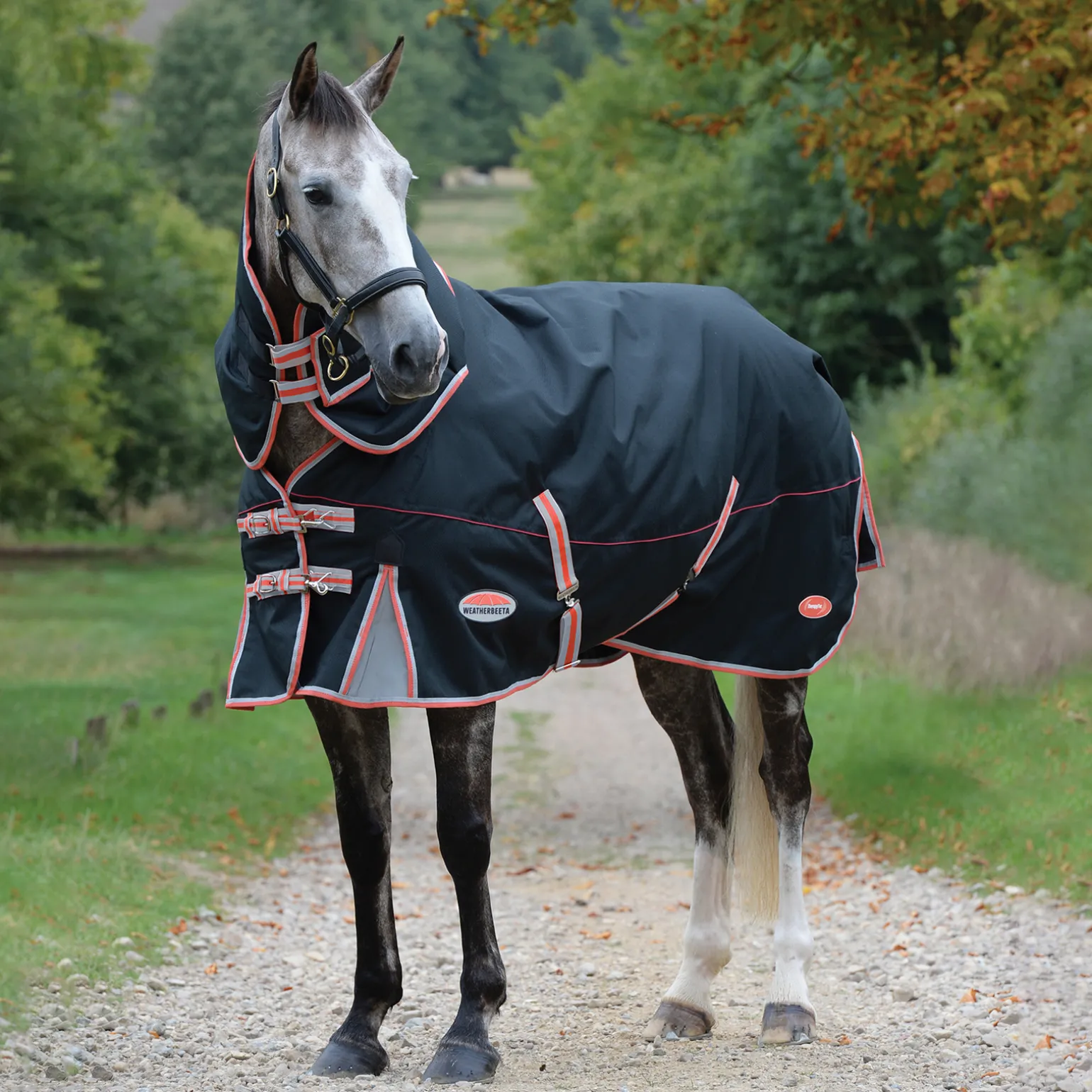 Weatherbeeta Comfitec Premier Therapy-Tec Ulkoloimi Irrotettavalla Kaulakappaleella, 220 G