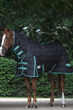 Weatherbeeta Green-Tec Talliloimi Kiintealla Kaulakappaleella, 150 G